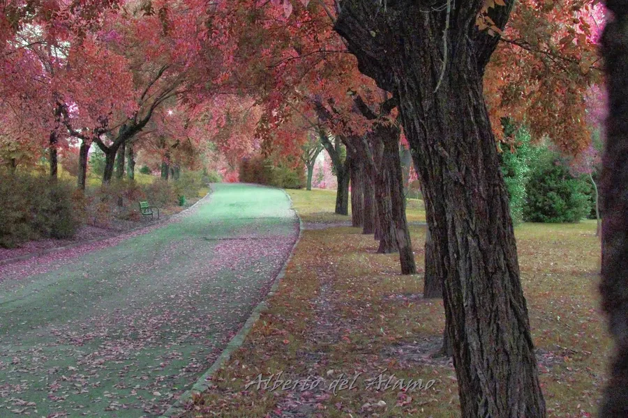 Parque del Príncipe