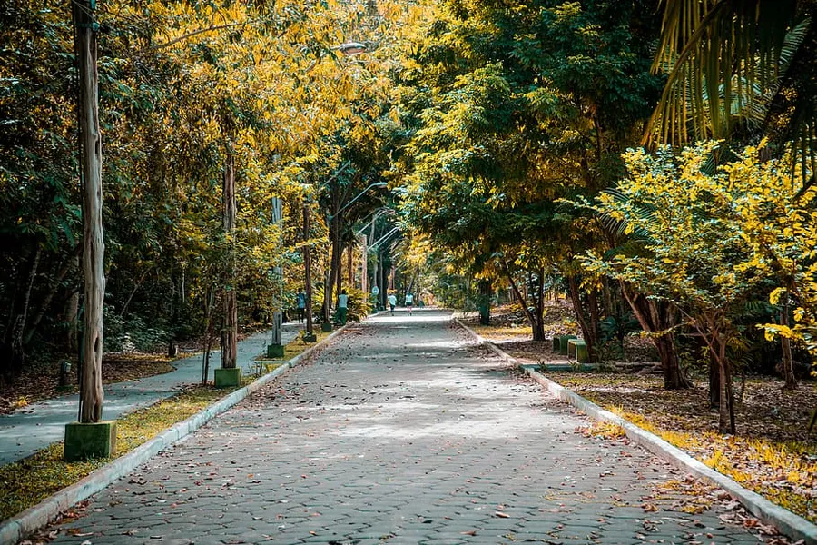 Parque do Mindu