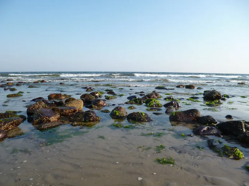 Parson's Beach