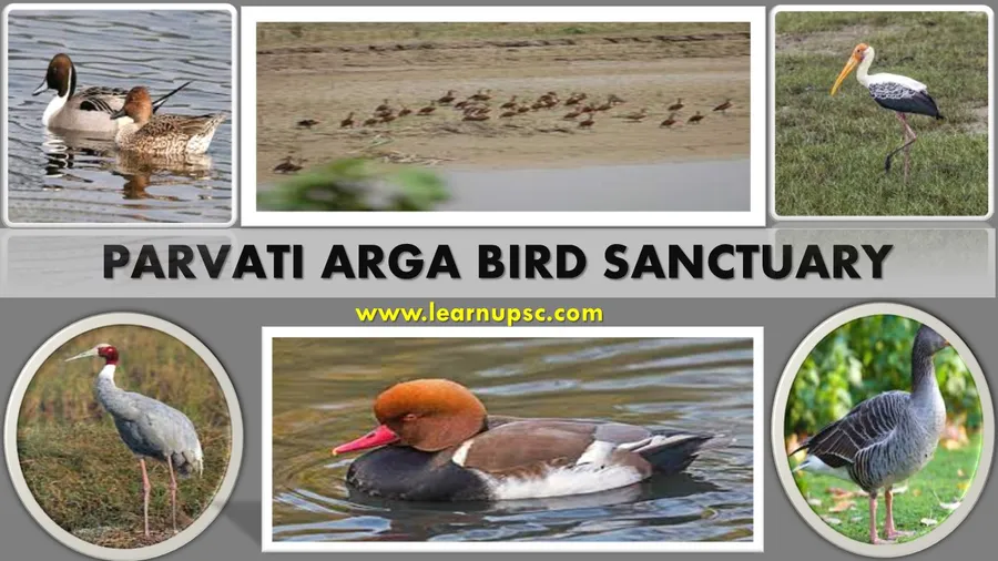 Parvati Arga Bird Sanctuary