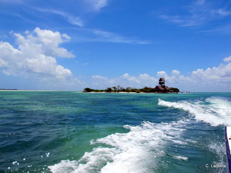 Passion Island