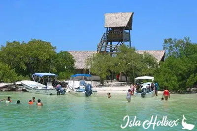 Passion Island