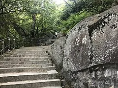 Path of Literature