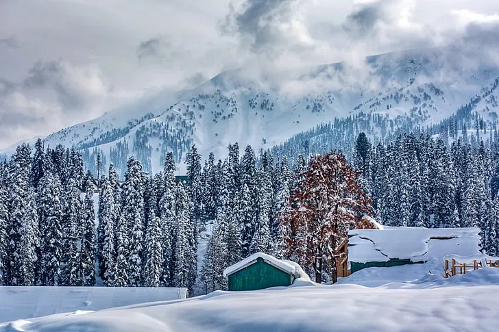 Patriata (New Murree)