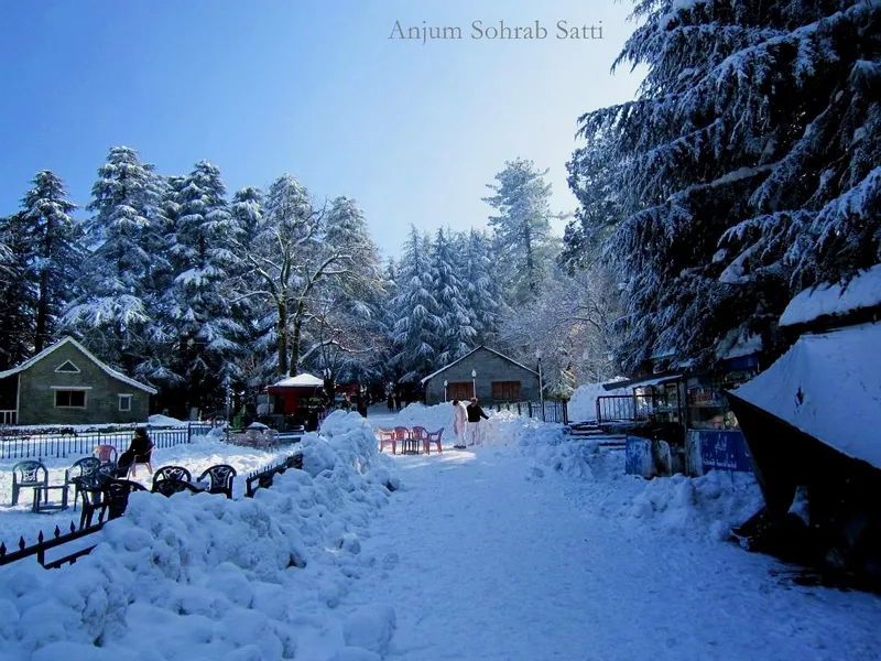 Patriata (New Murree)