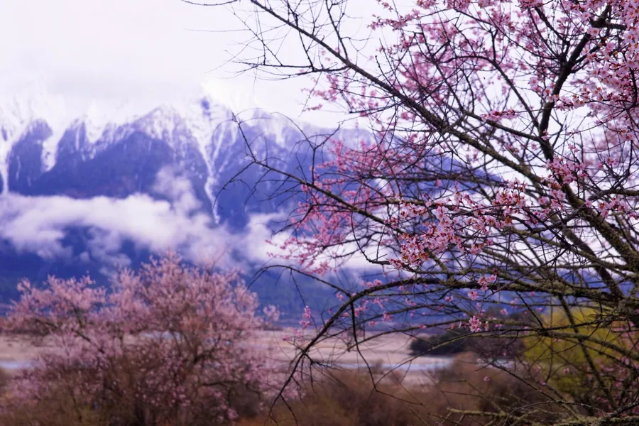 Peach Blossom Valley