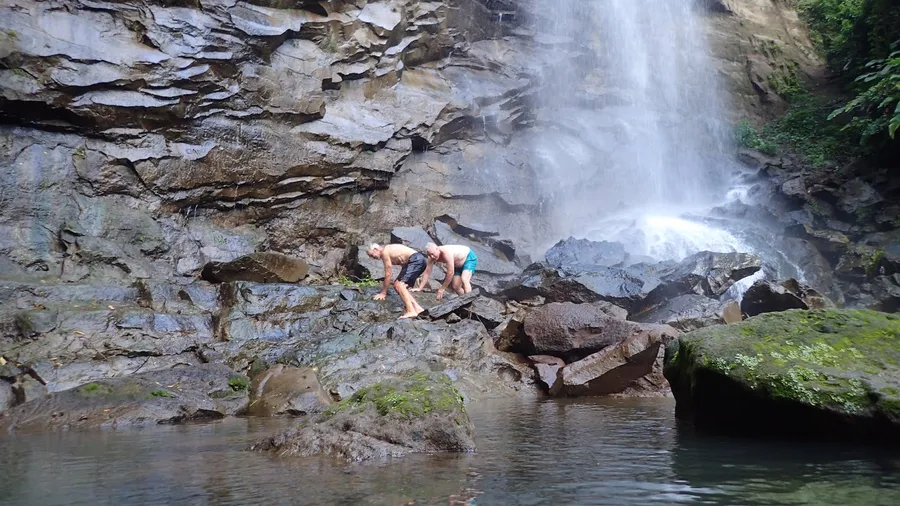 Pearson's Falls