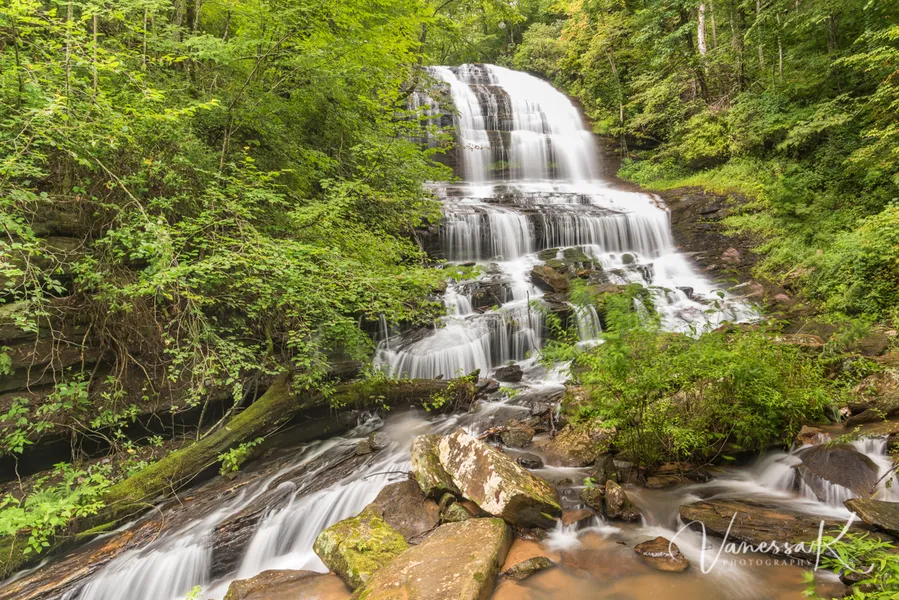 Pearson's Falls and Glen