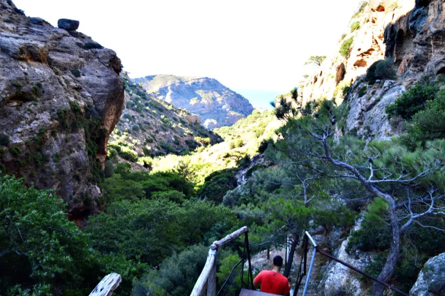 Pefki Gorge
