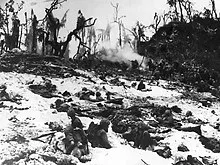Peleliu Battlefield