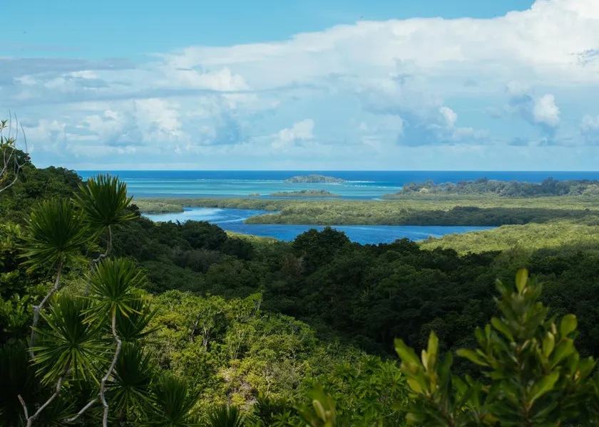 Peleliu Lookout