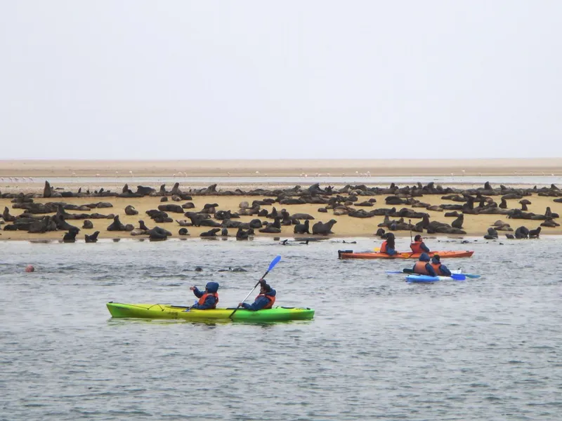 Pelican Point
