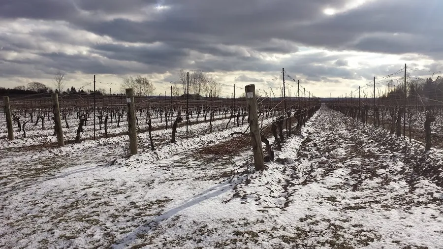 Peller Estates Winery
