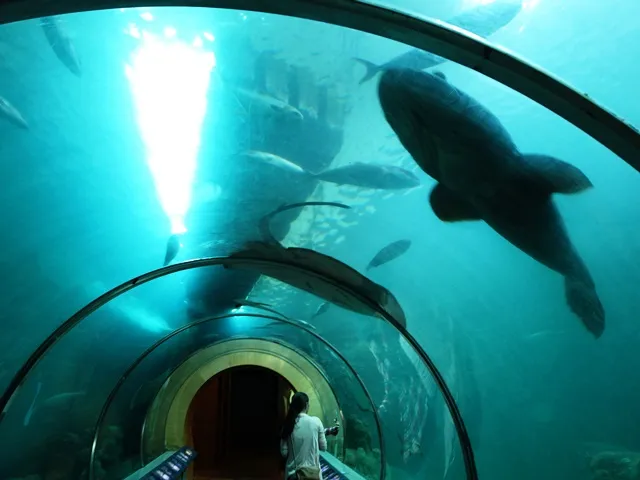 Penghu Aquarium