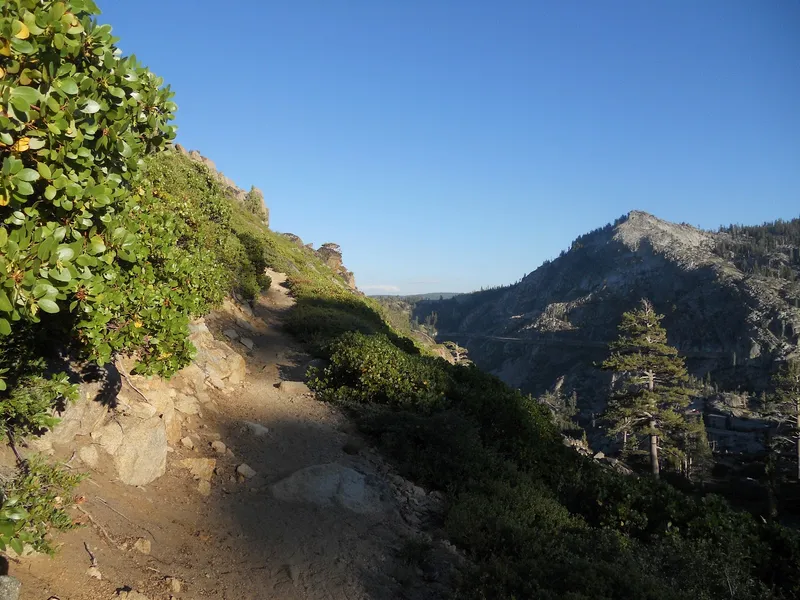 Penny Pines Trailhead