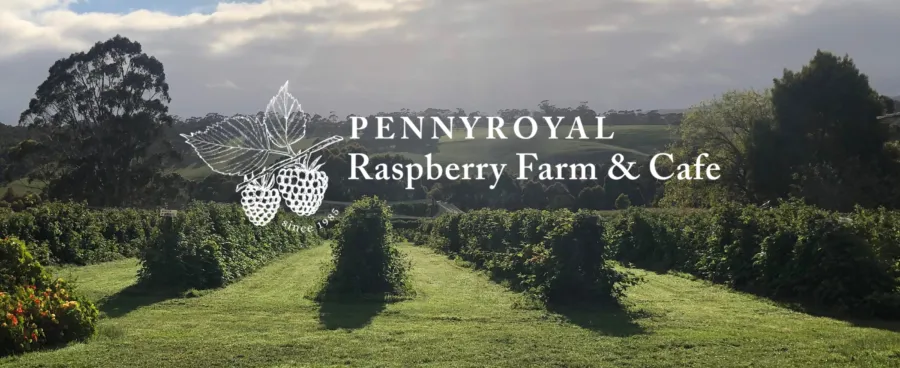 Pennyroyal Raspberry Farm