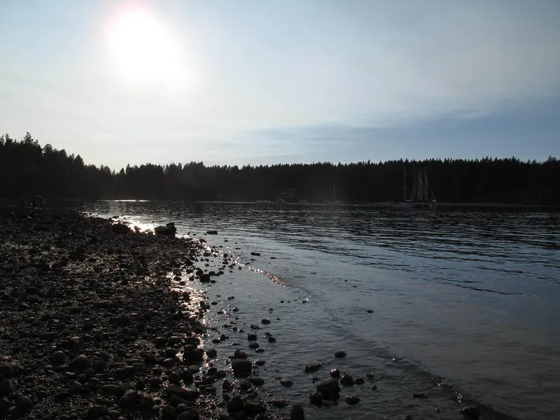 Penrose State Forest