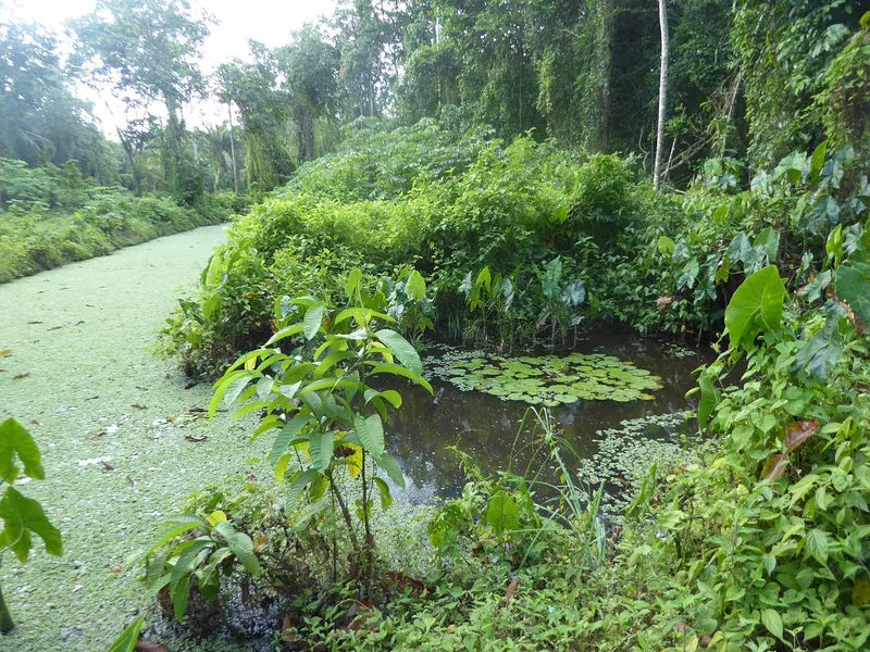 Peperpot Nature Park