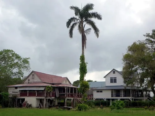 Peperpot Plantation