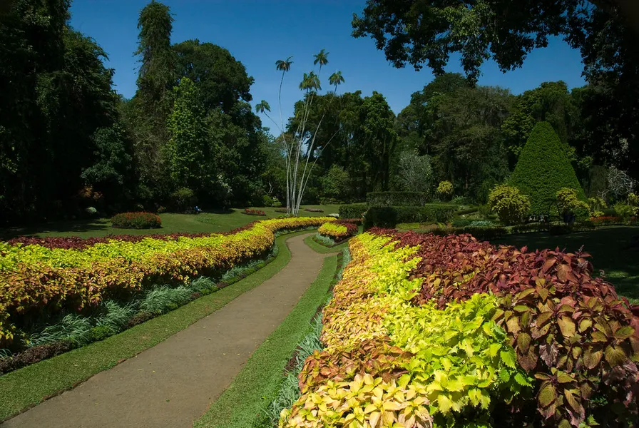 Peradeniya Botanical Gardens
