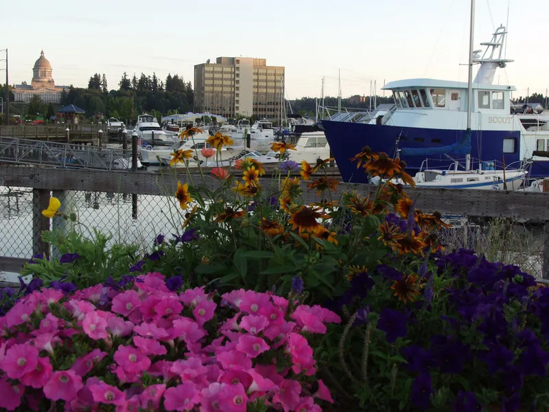 Percival Landing Park