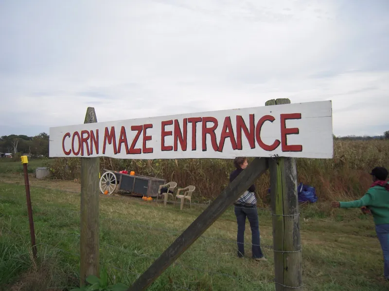 Percy Farm Corn Maze