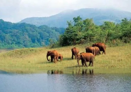 Periyar Park