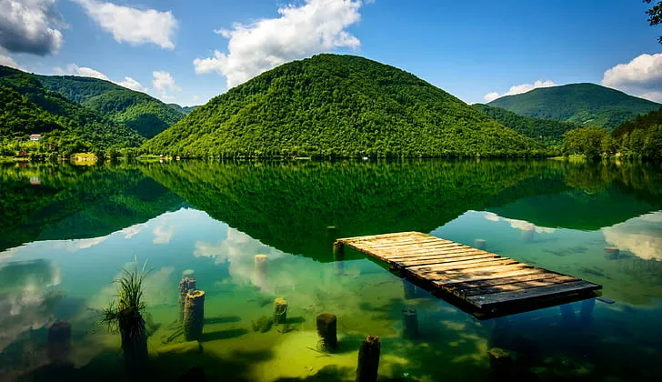Perucica Primeval Forest