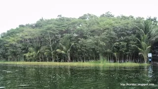 Petencito Zoo
