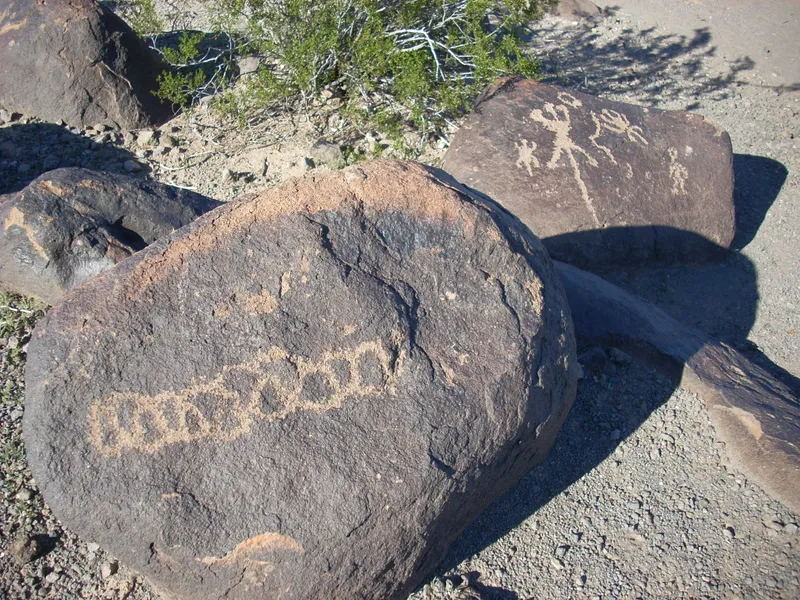 Petroglyph Panel