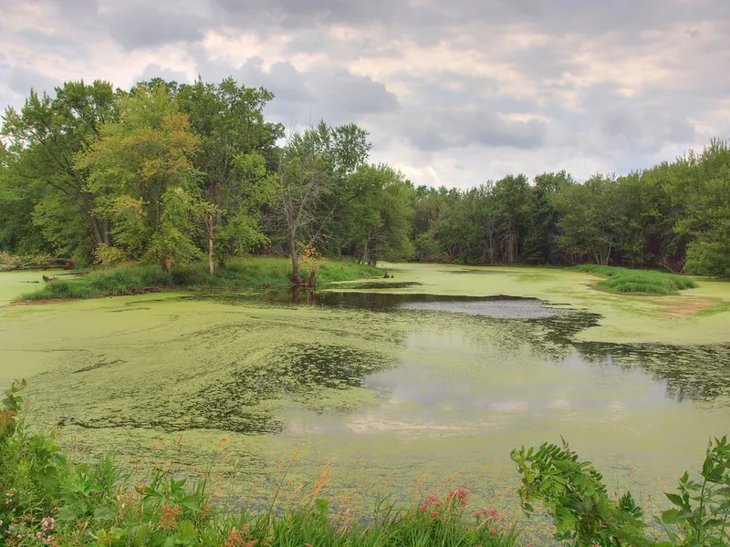 Pettibone Park