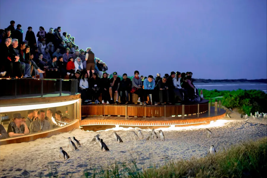 Phillip Island
