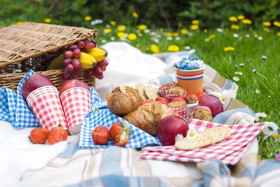 Picnic Lunch in the Wild at Serengeti National Park