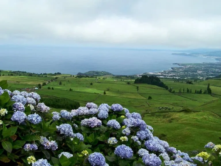 Pico do Carvão