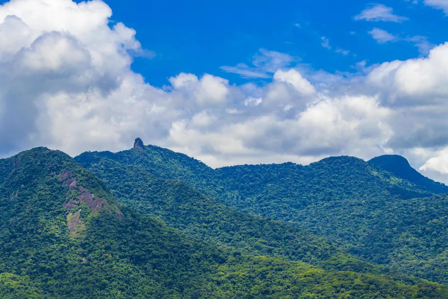Pico do Papagaio