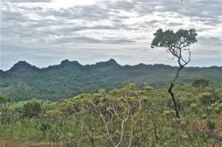 Pico dos Pirineus State Park