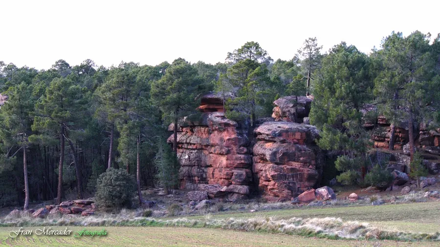 Pinares de Rodeno