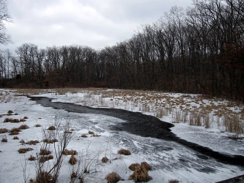 Pinckney State Recreation Area