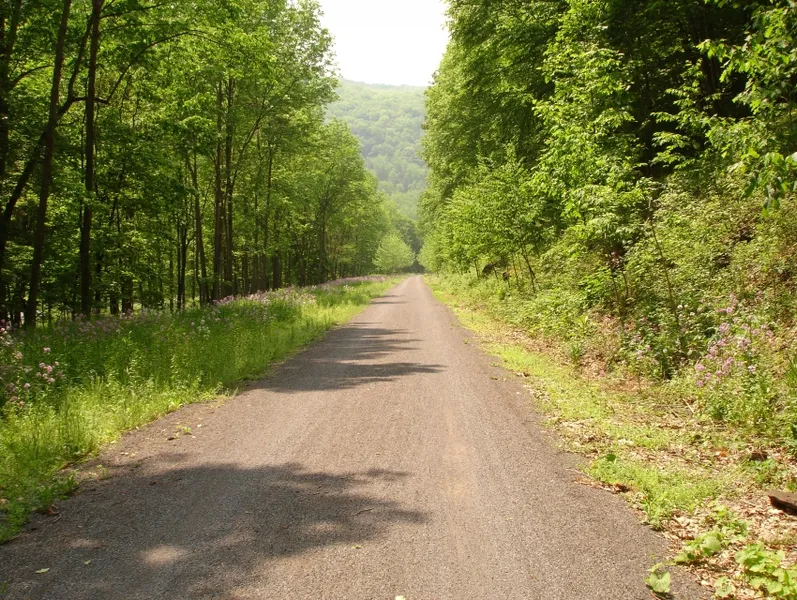 Pine Creek Rail Trail