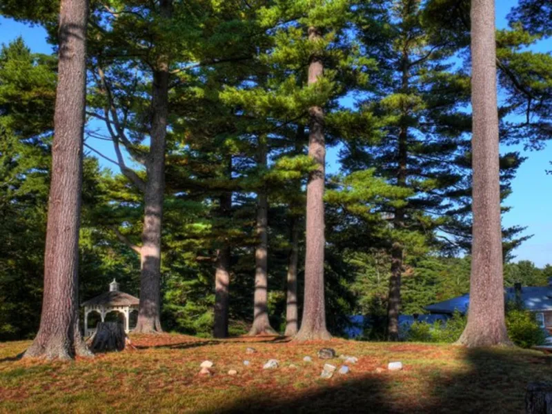 Pine Grove Park