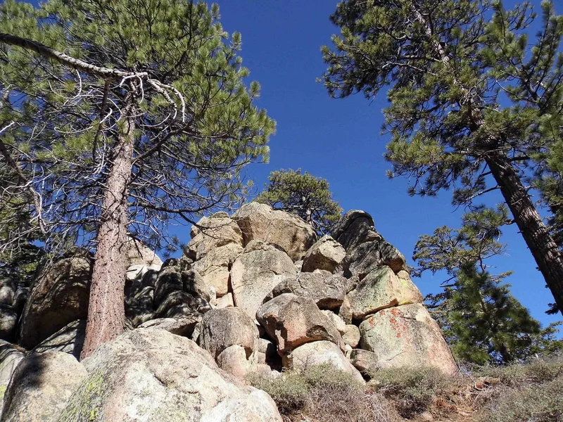 Pine Knot Trail