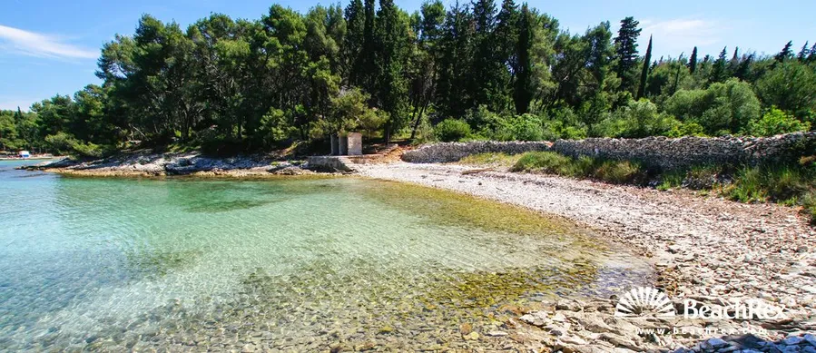 Pine Tree Beach