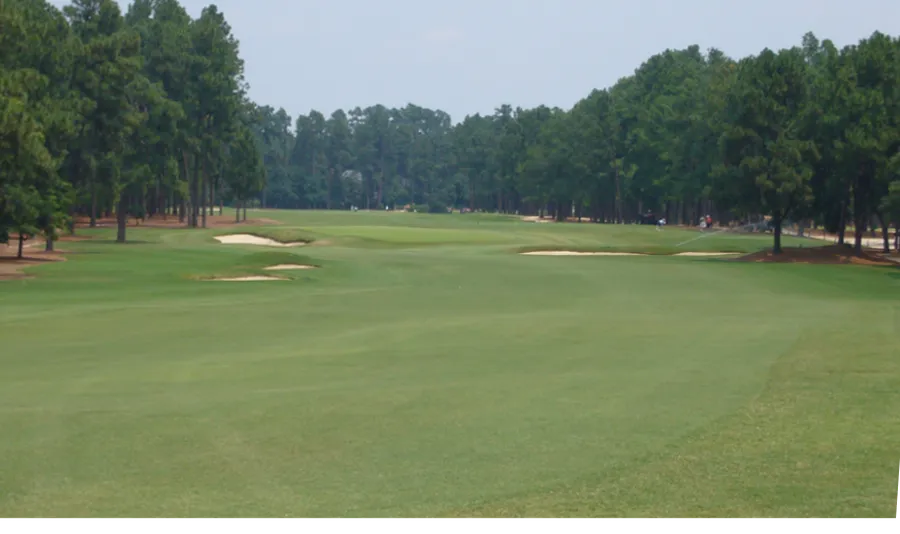 Pinehurst No. 2