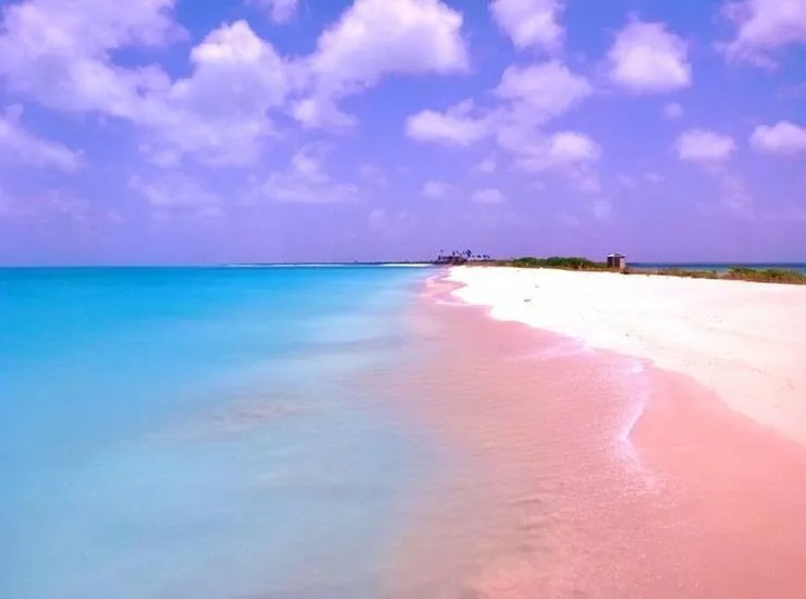 Pink Sands Beach