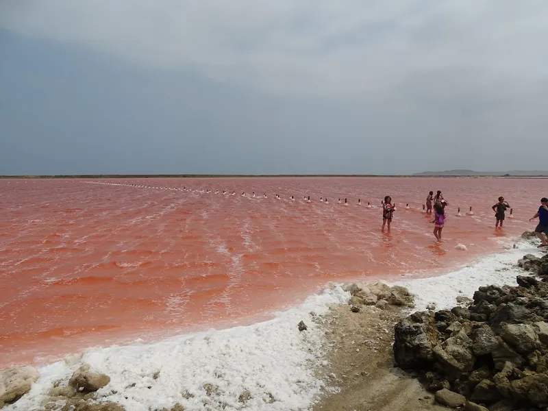 Pink Sea of Galerazamba