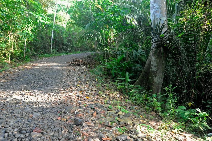 Pipeline Road
