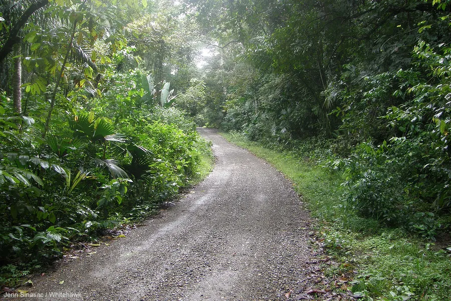 Pipeline Road