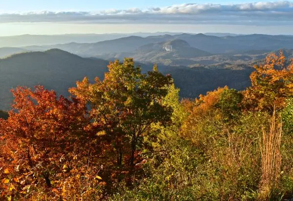 Pisgah National Forest