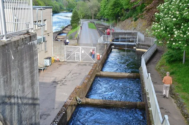 Pitlochry Dam and Fish Ladder