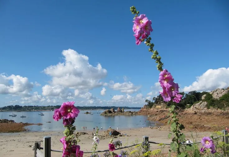 Plage du Guerzido